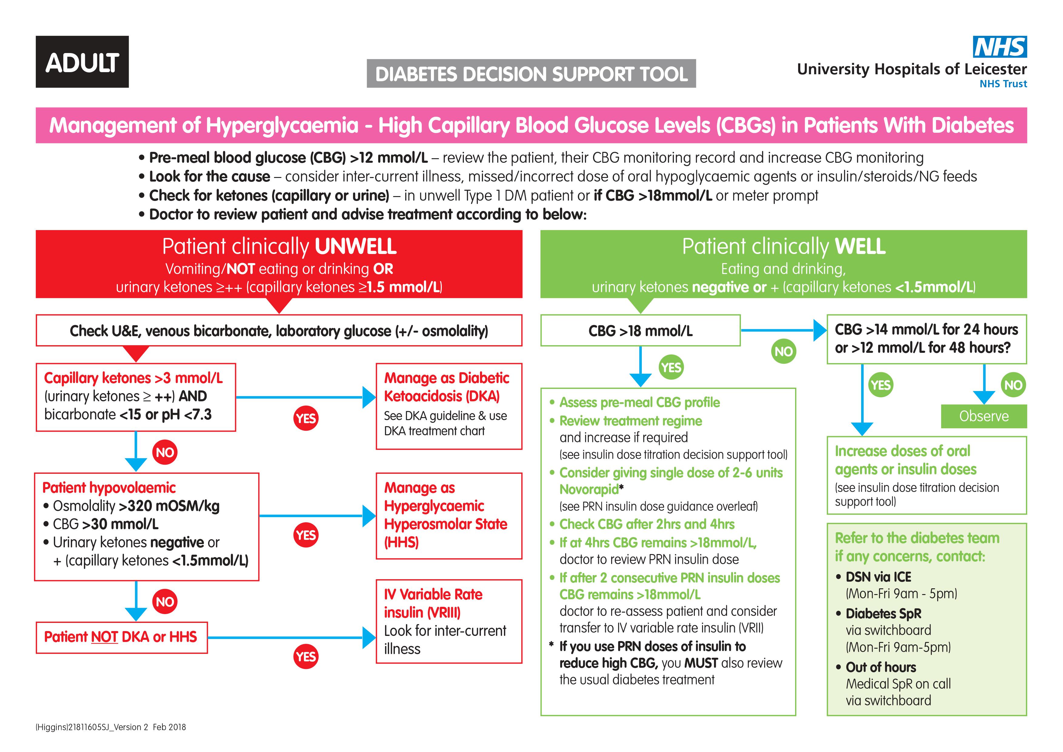 Hyperglycemia Support Decision Tool Page 1